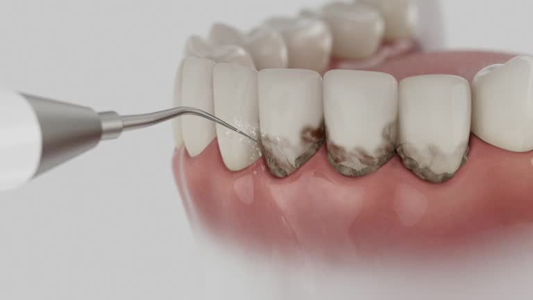 Reliable Dental contractor in Kearney Park, MS by Dentist Open Now